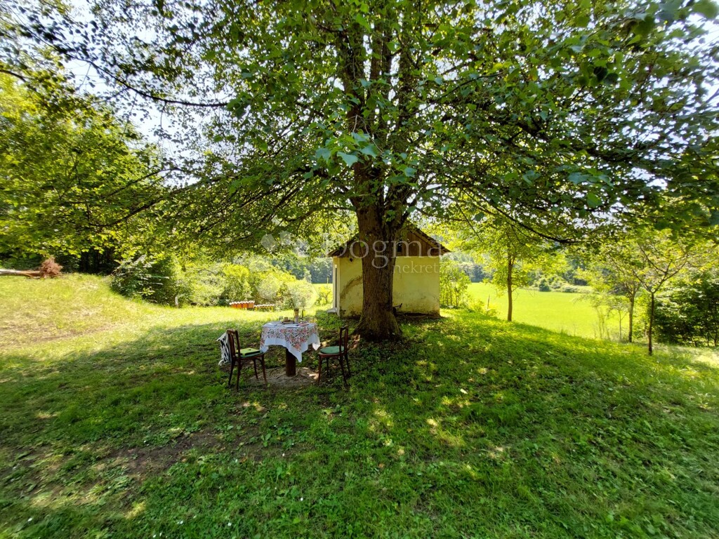 Image 11
