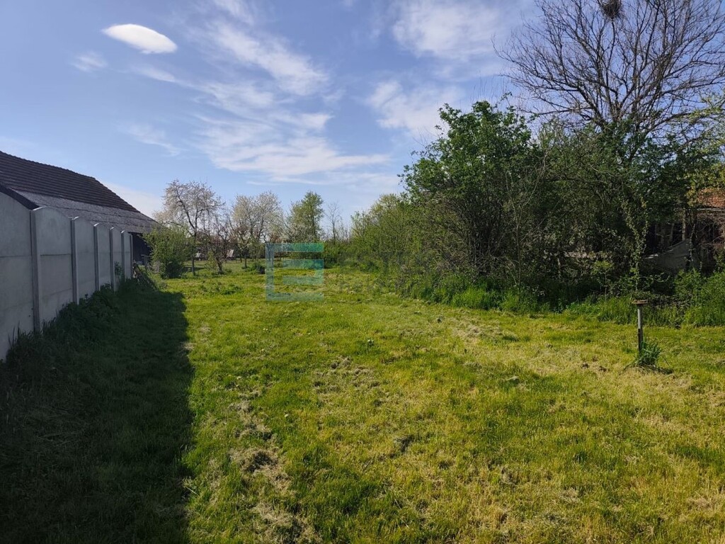 Image 16