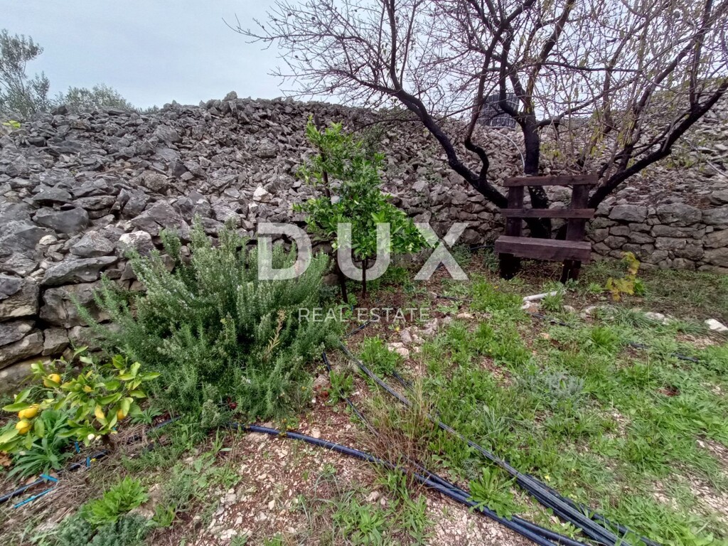 Image 23