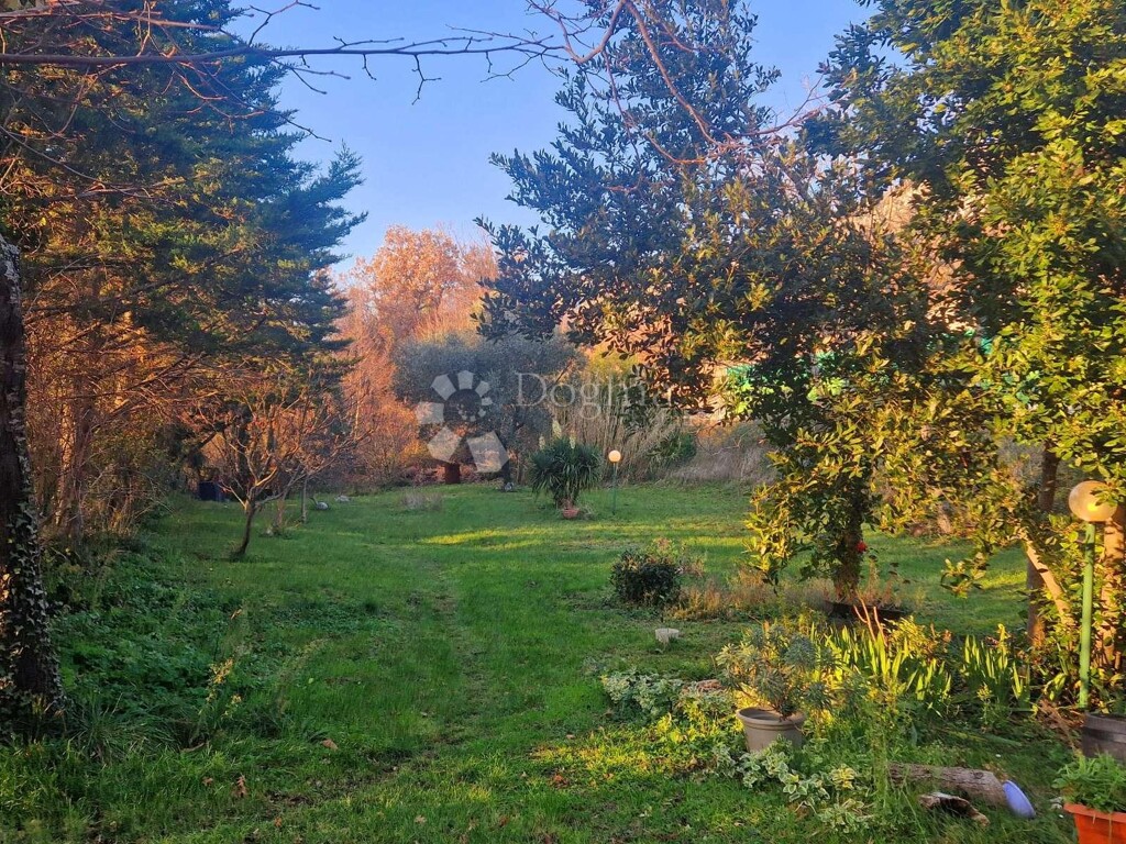 Image 18
