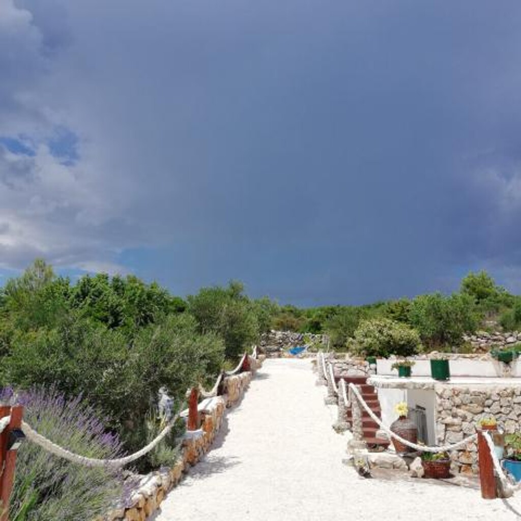 Image 3810525 - 7