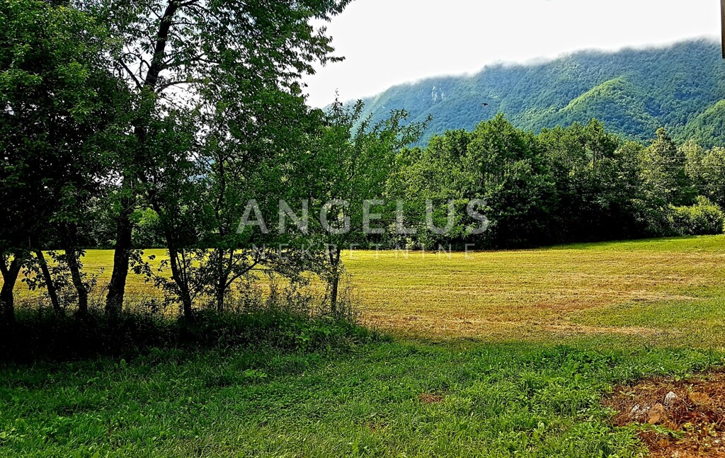 Image 6208326 - 21