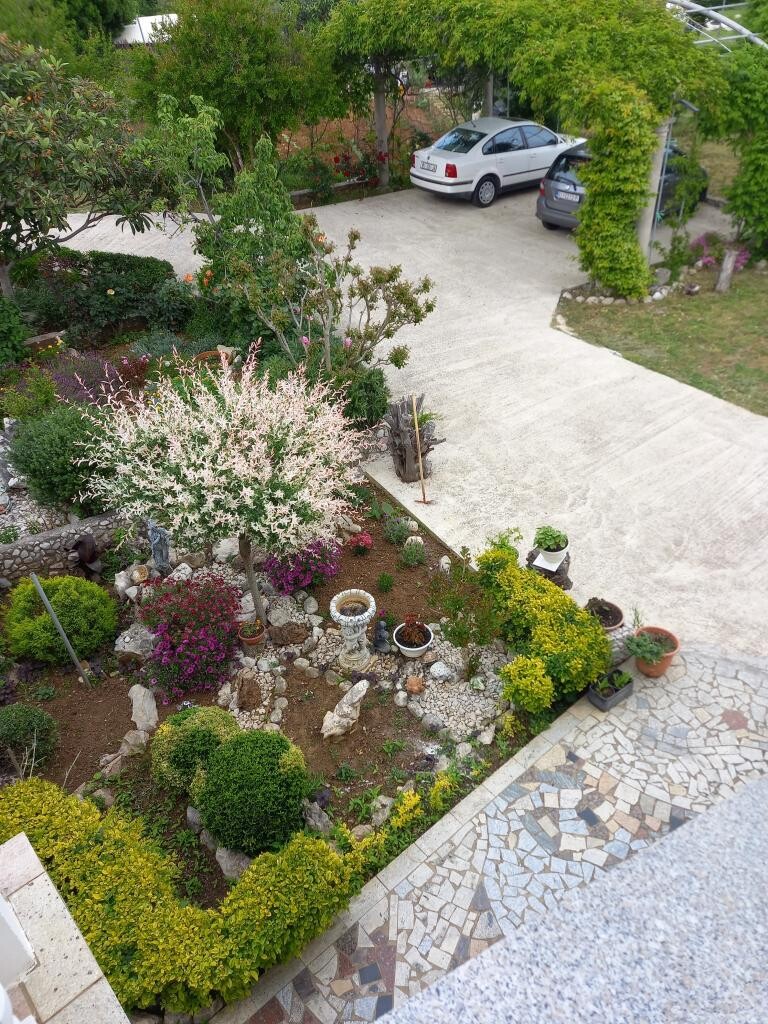 Image 15