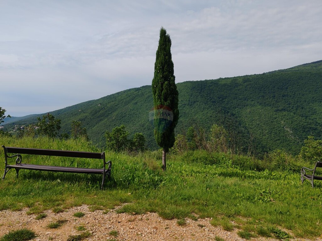 Image 24