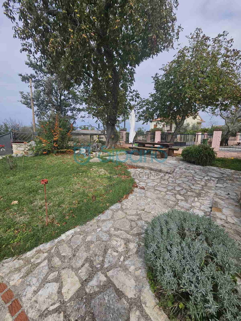 Image 21