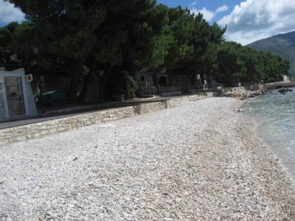 Image 3838505 - 29