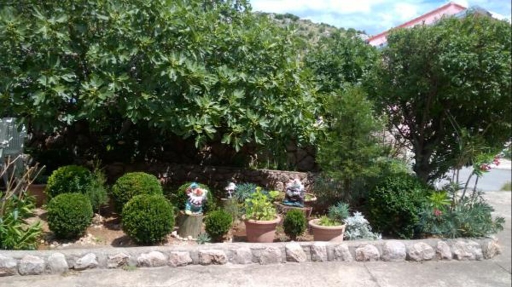 Image 3812859 - 4