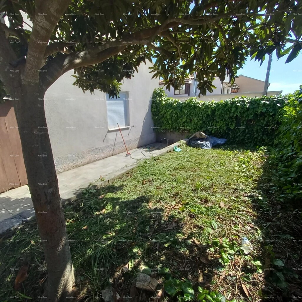 Image 12