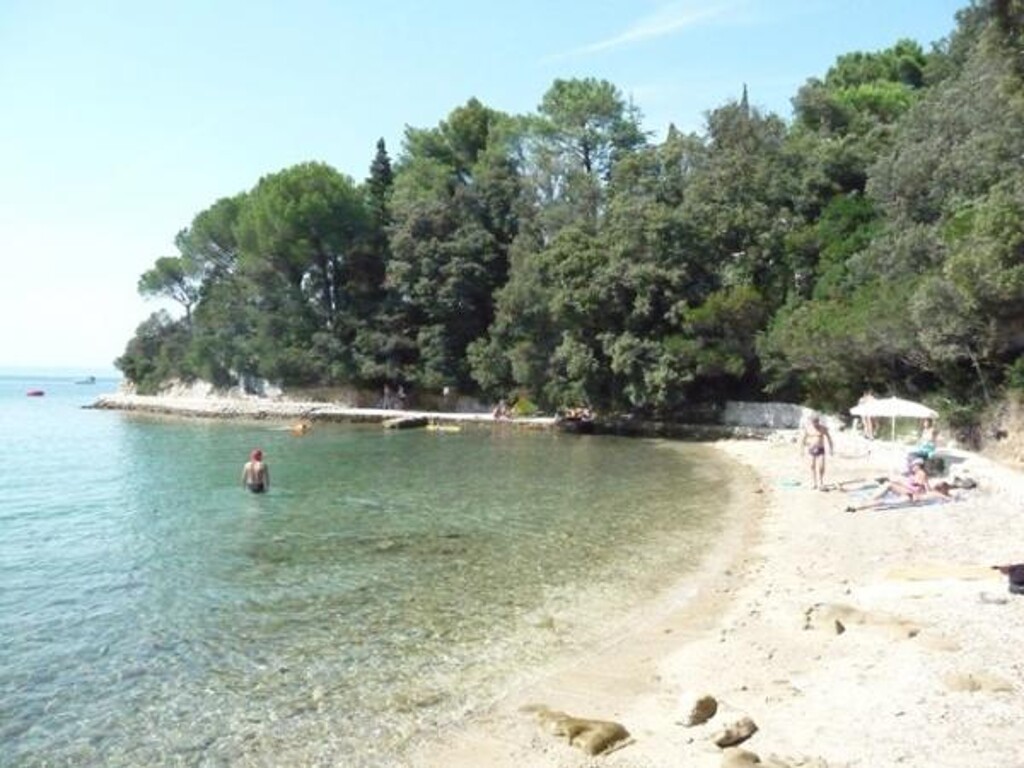 Image 3810919 - 6