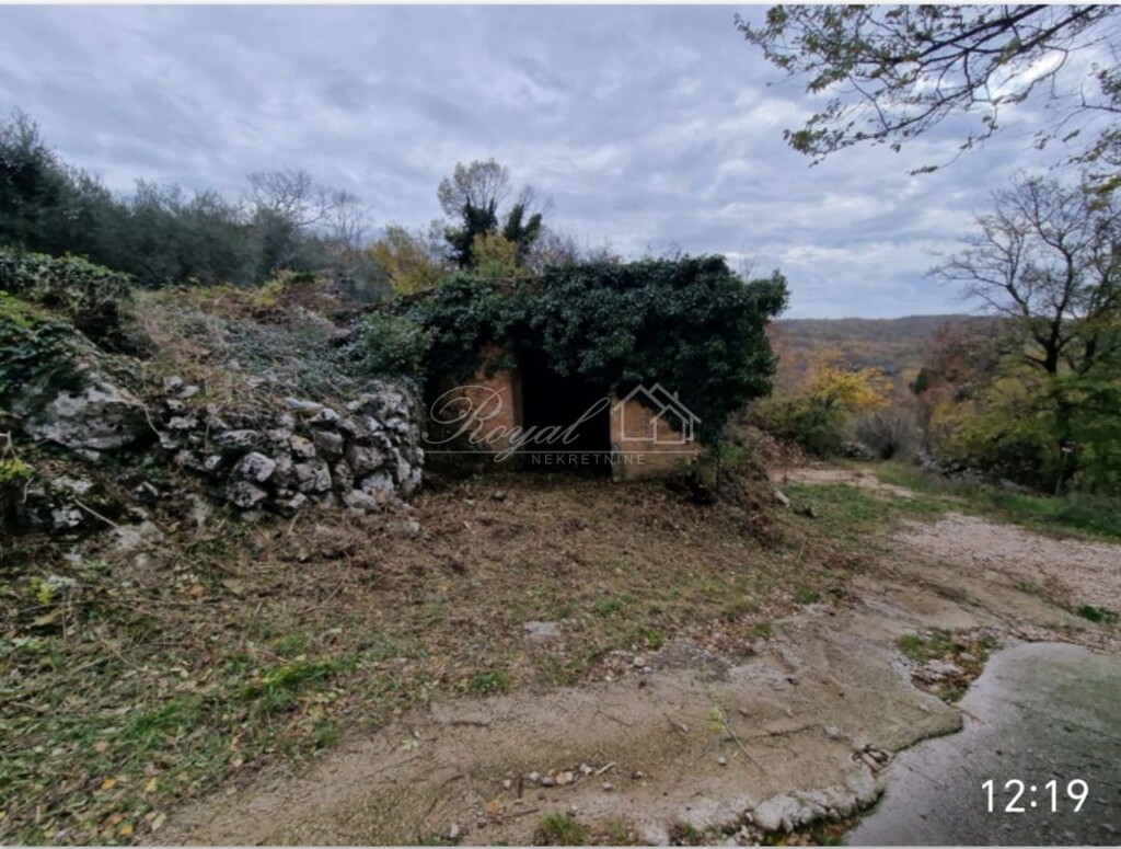 Image 10