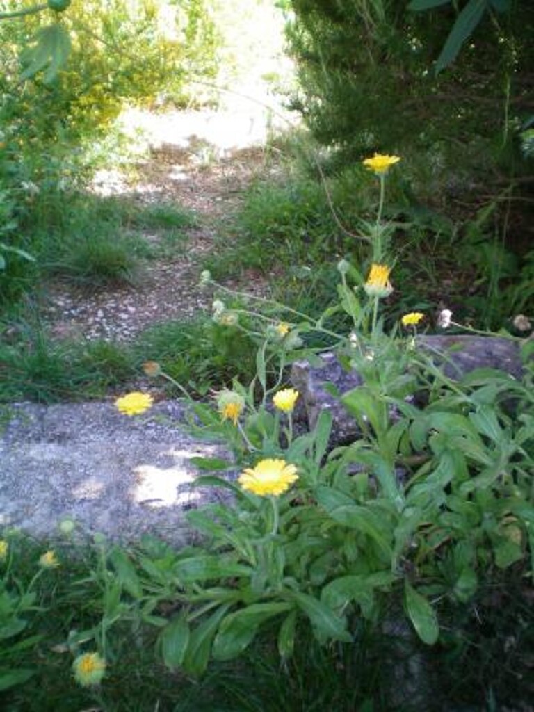 Image 3814955 - 12