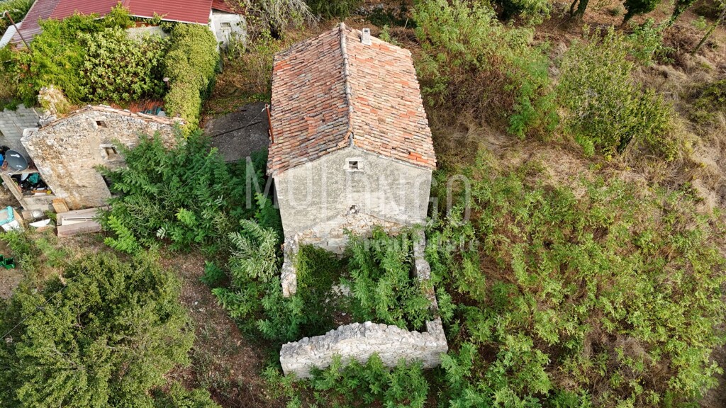 Image 6094516 - 5