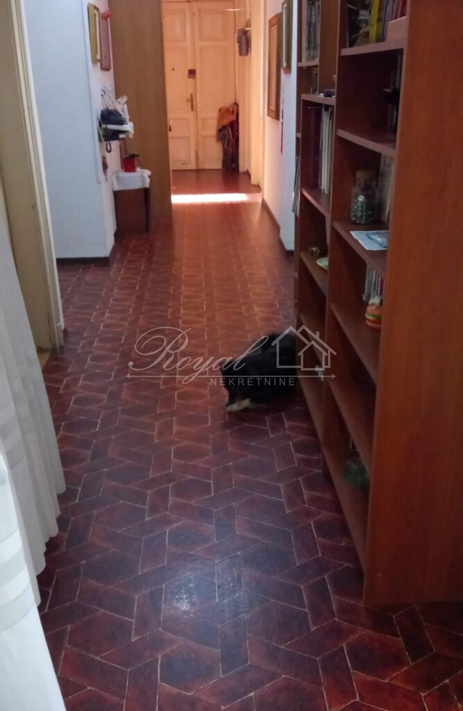 Image 8