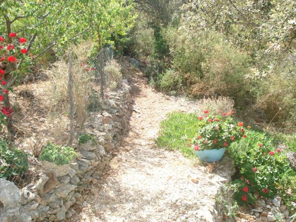 Image 3823646 - 10