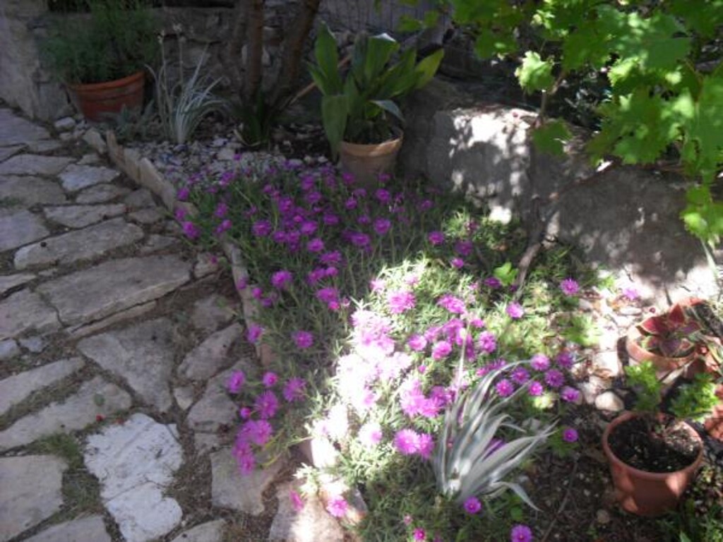 Image 3811635 - 14