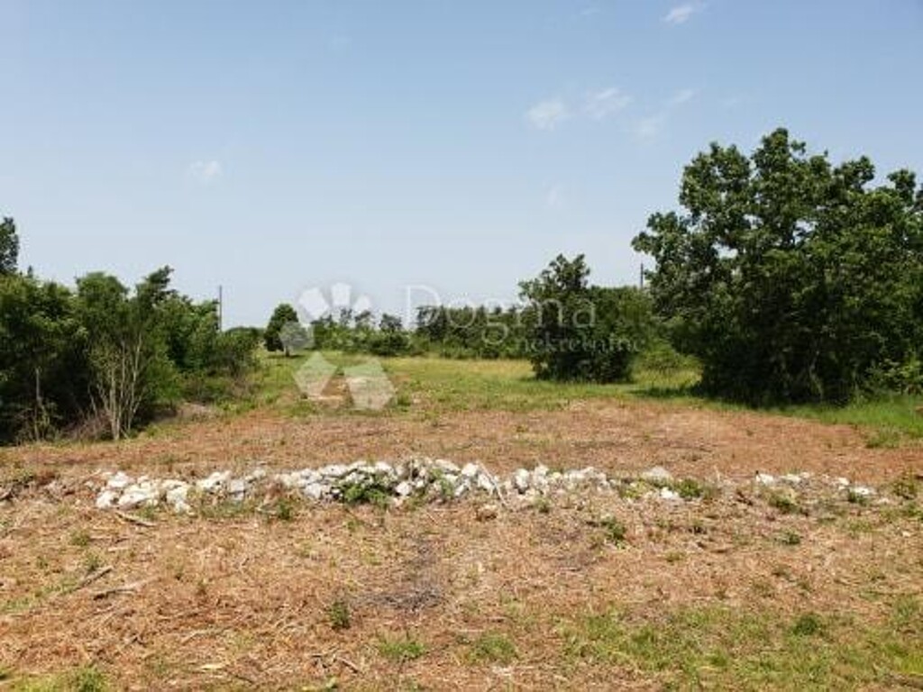Image 15
