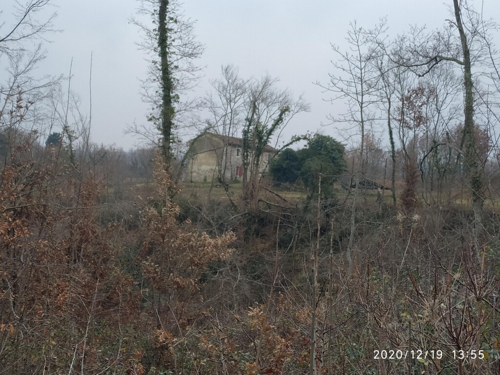 Image 21