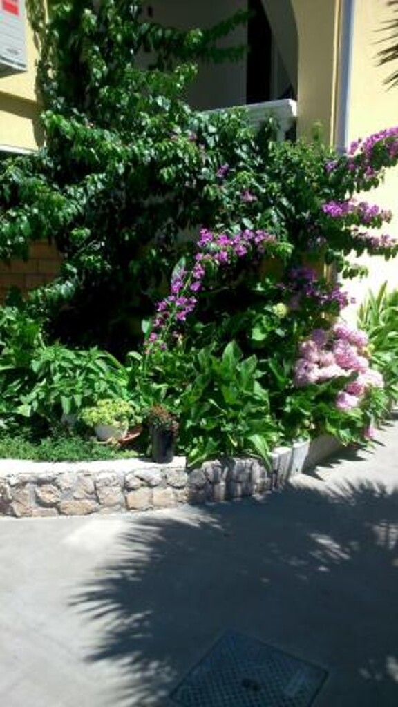 Image 3812036 - 5
