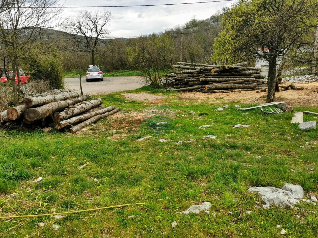 Image 5430056 - 5