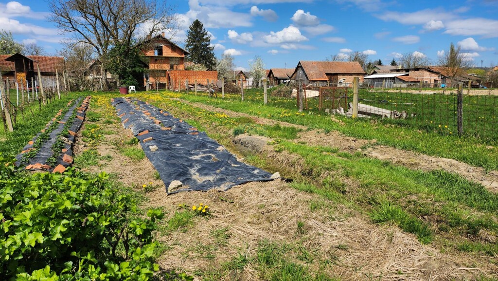Image 14