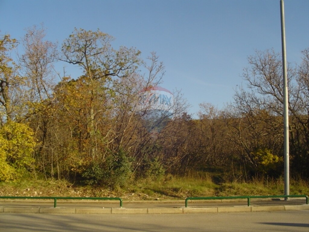 Image 5411115 - 2