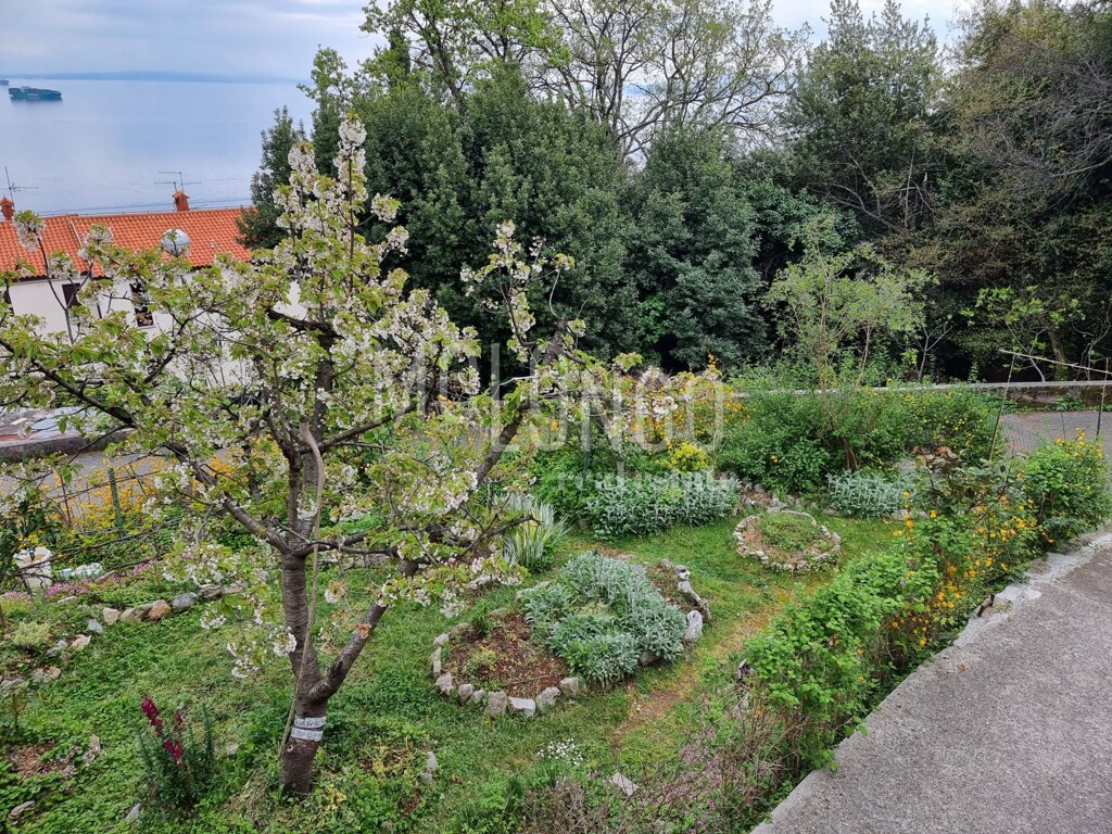 Image 13