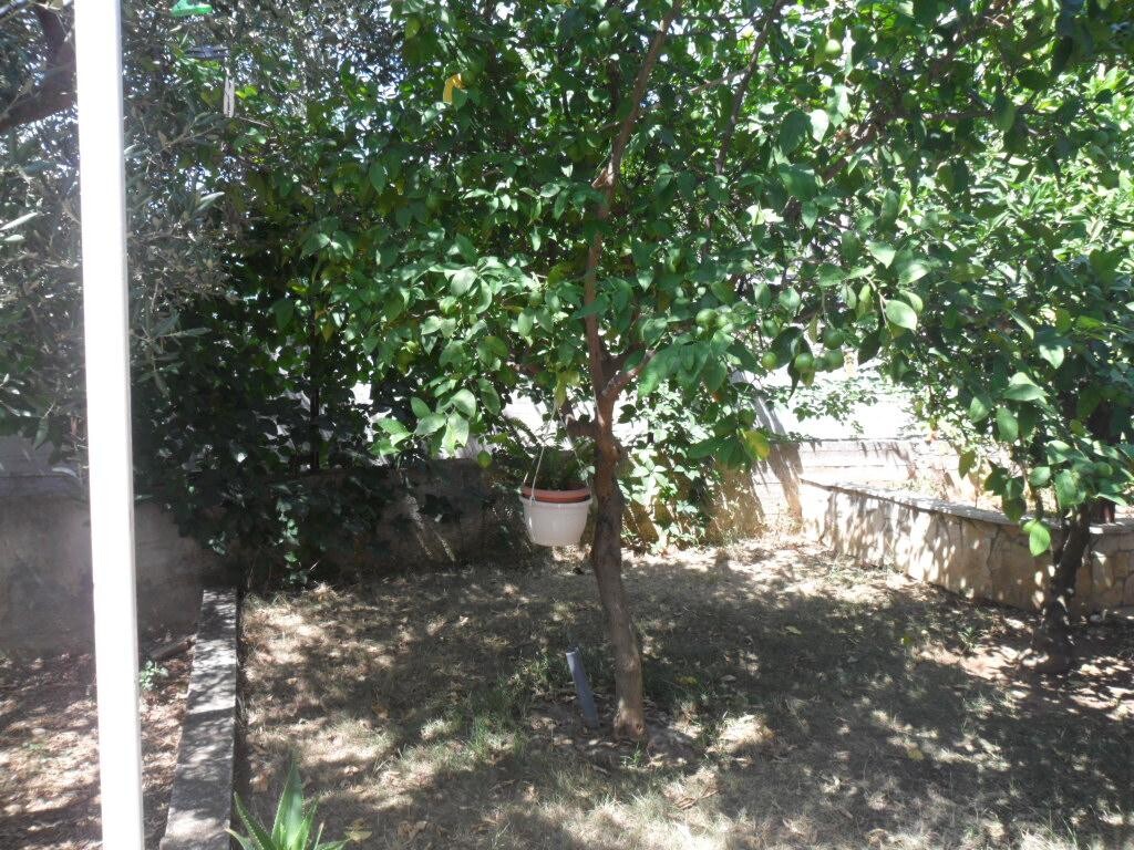 Image 3812215 - 18
