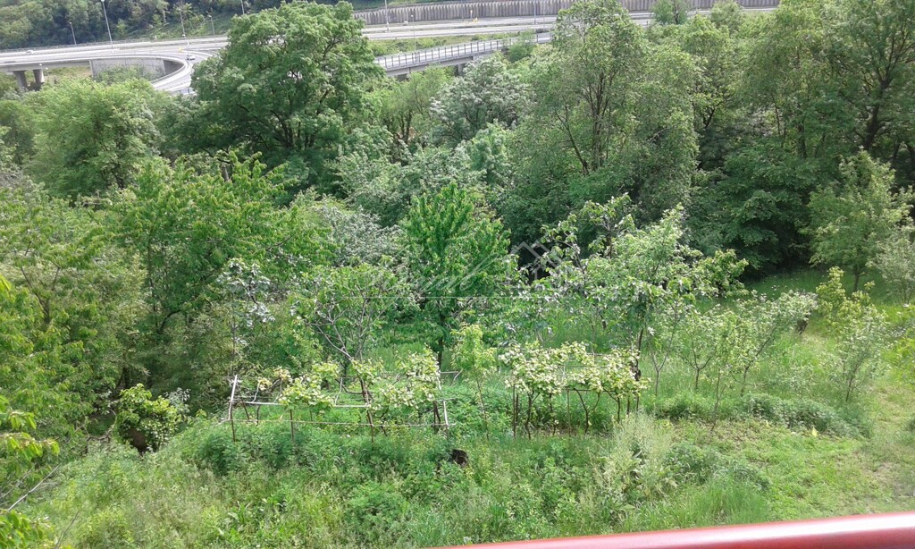 Image 13