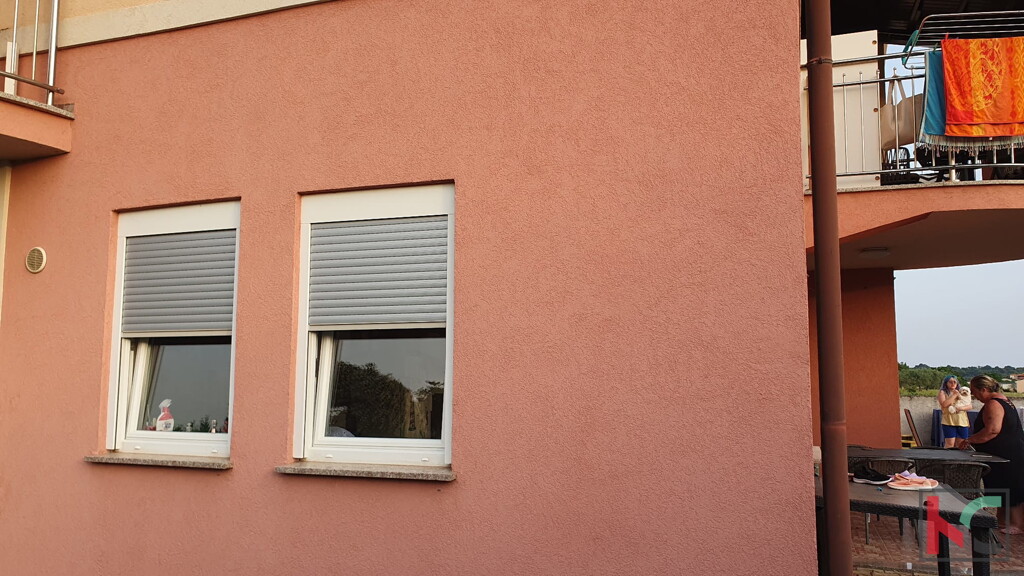 Image 19