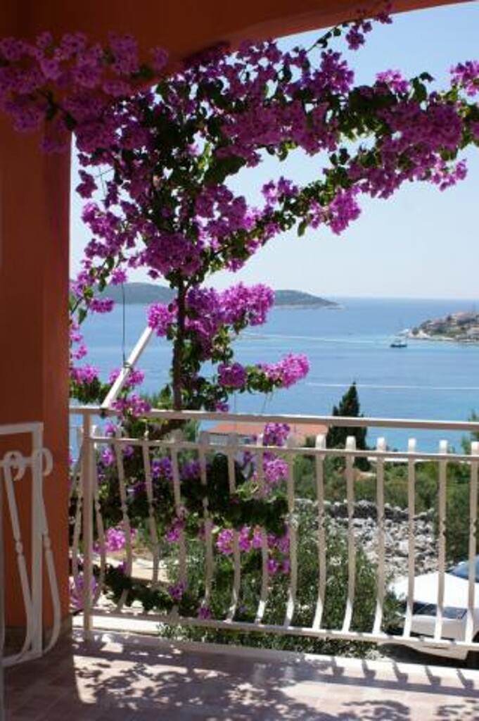 Image 3823097 - 20
