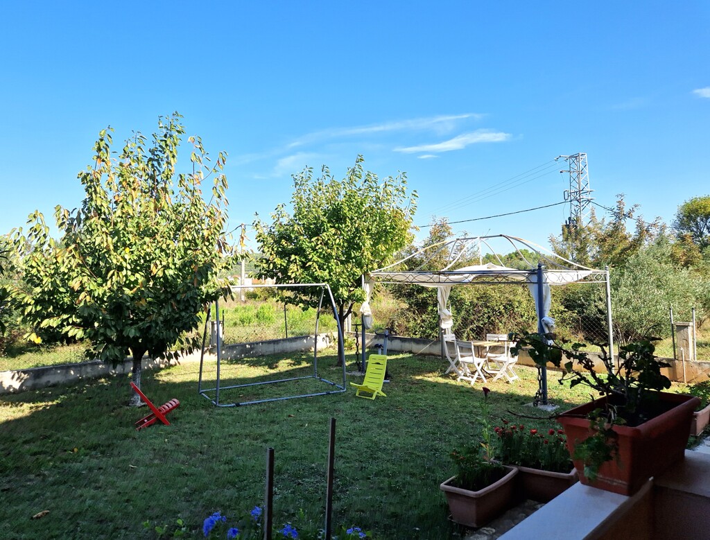 Image 20