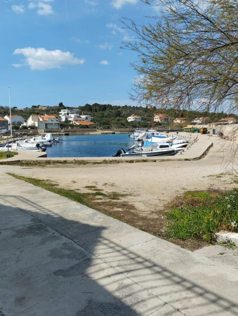 Image 11