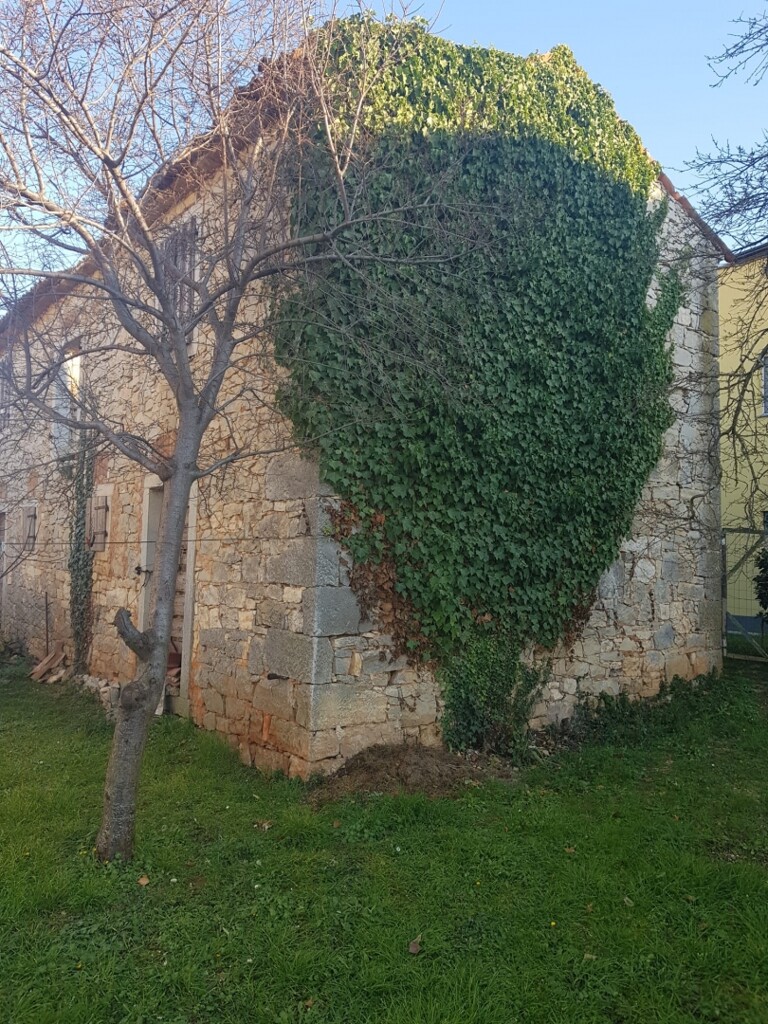 Image 19