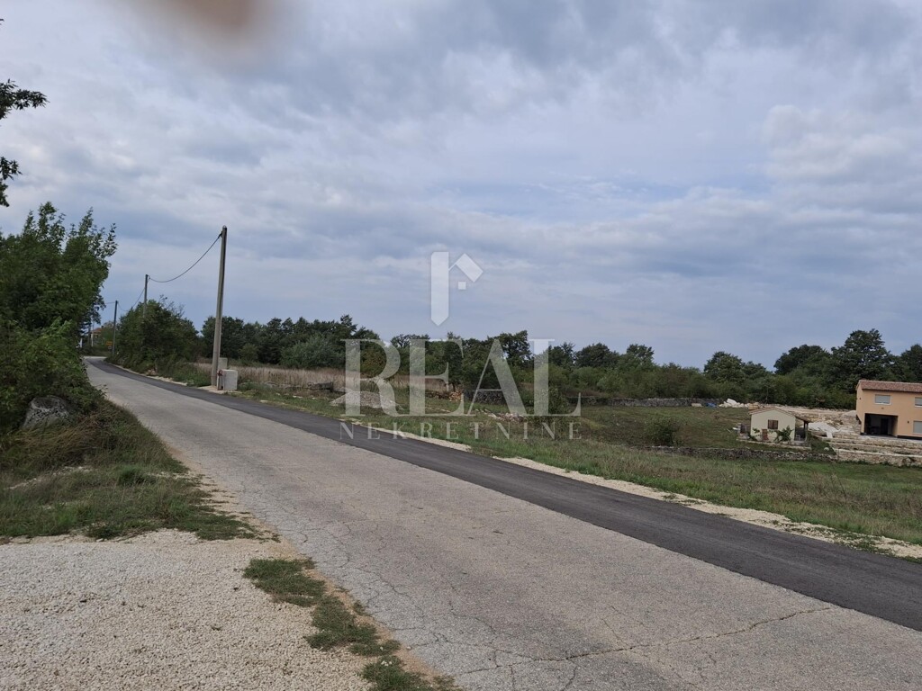 Image 9