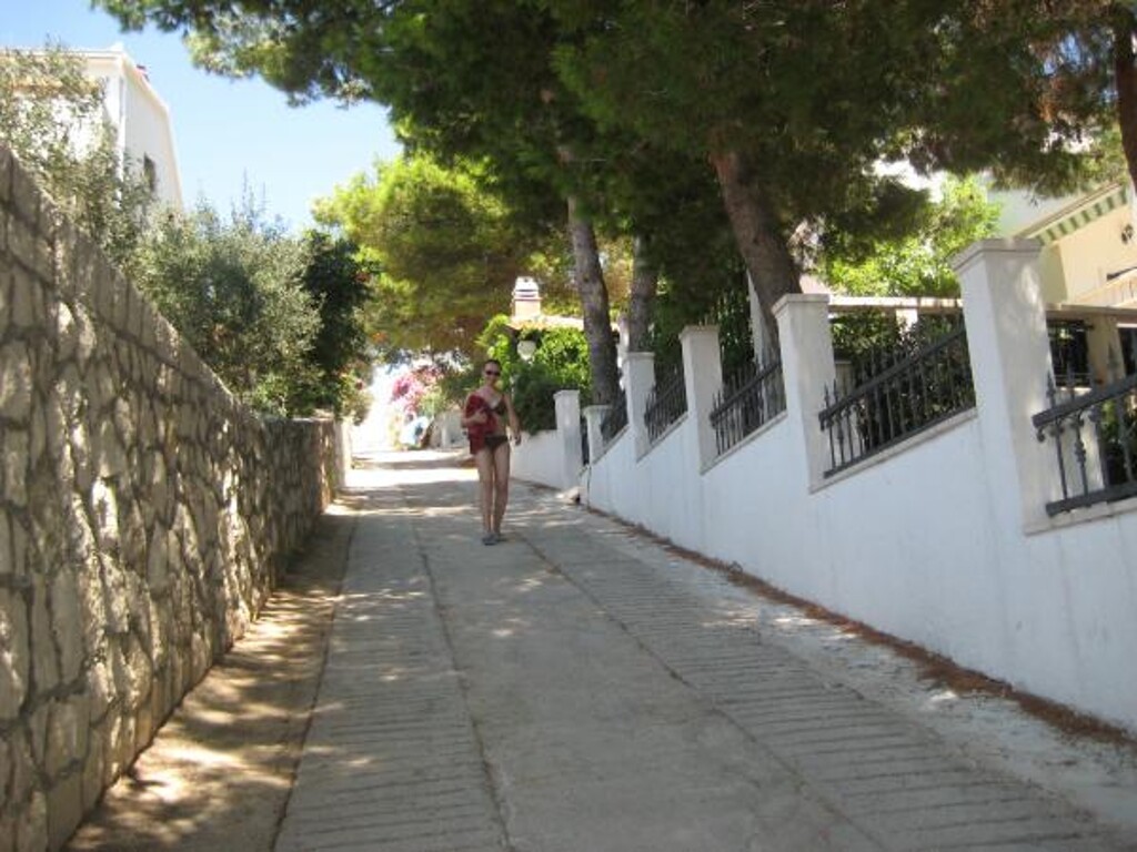 Image 3811182 - 7