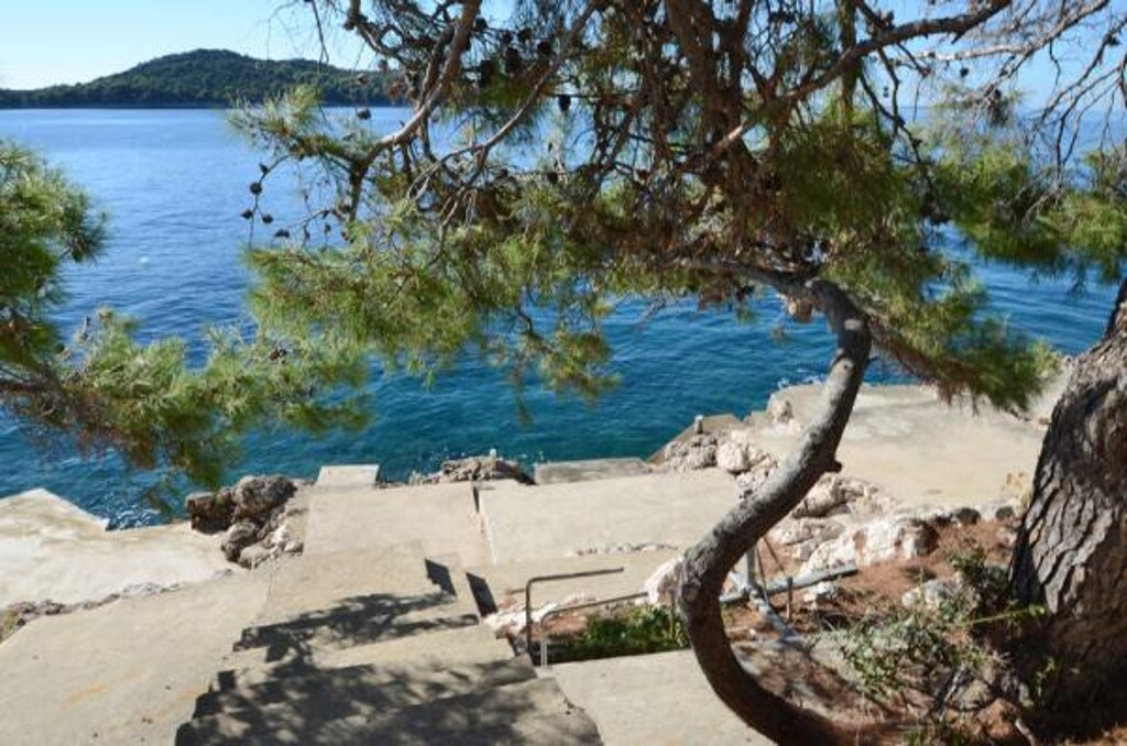 Image 3814627 - 2