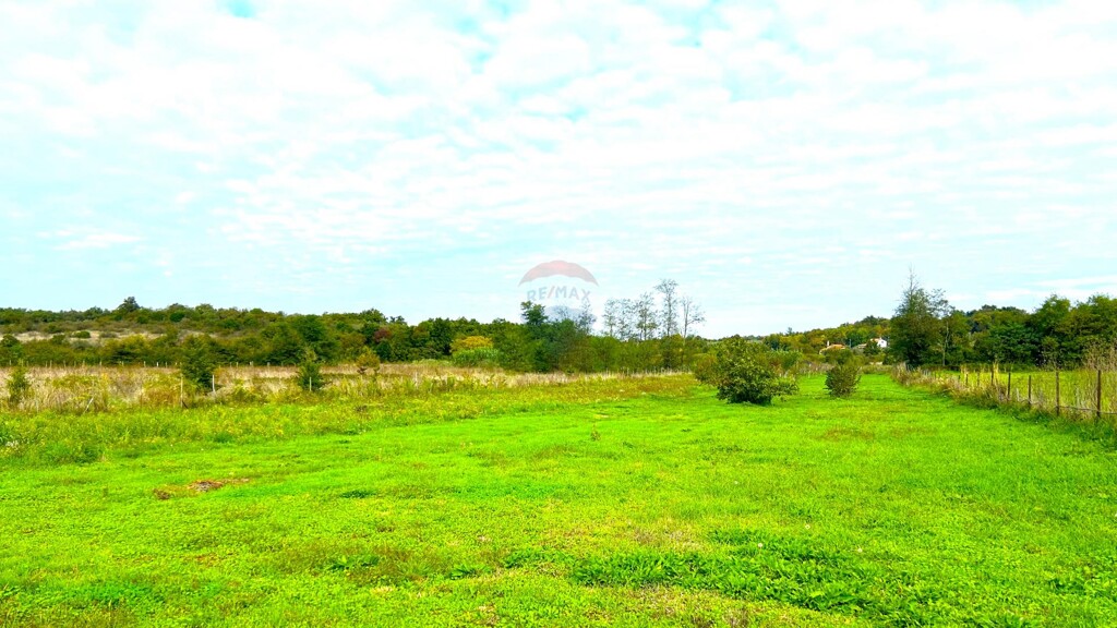Image 13