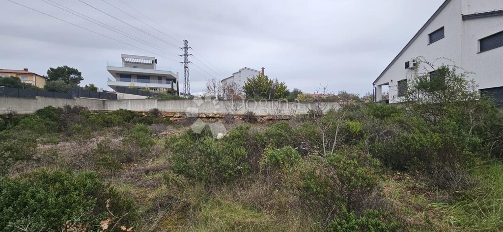 Image 9
