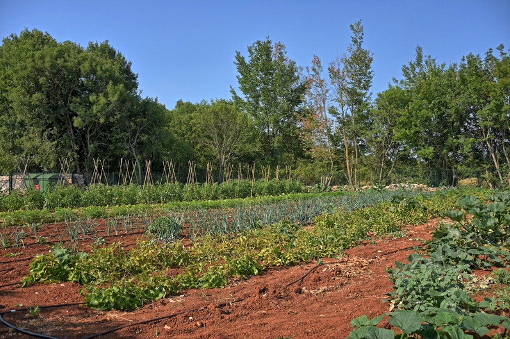 Image 18