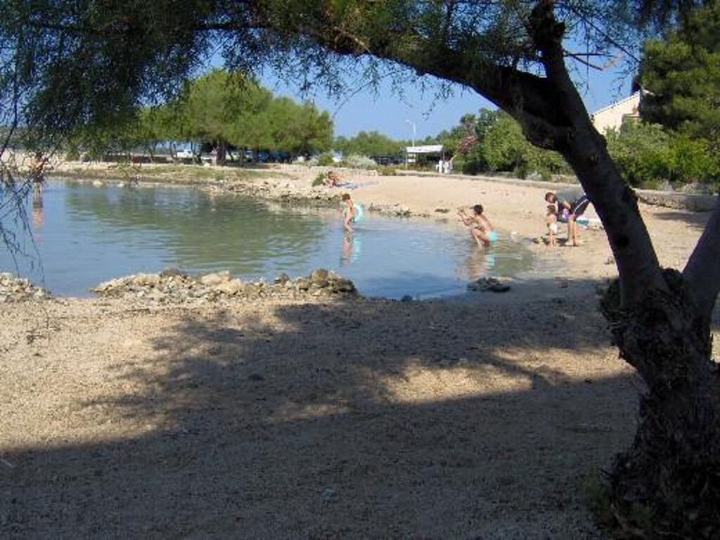 Image 3811254 - 6