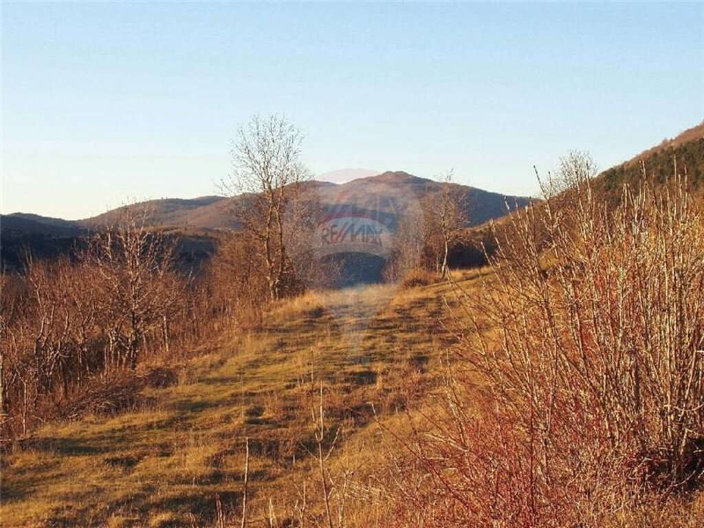 Image 5411442 - 3