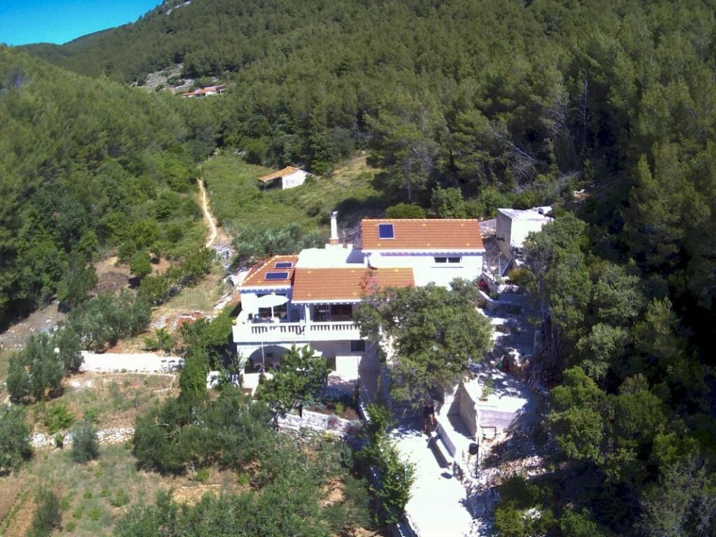 Image 3838949 - 13