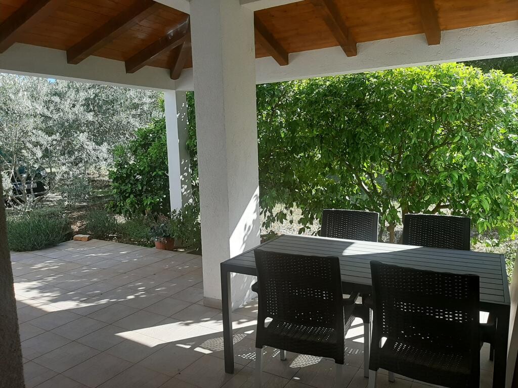 Image 3814686 - 1