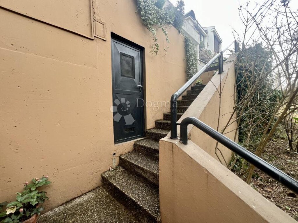 Image 19