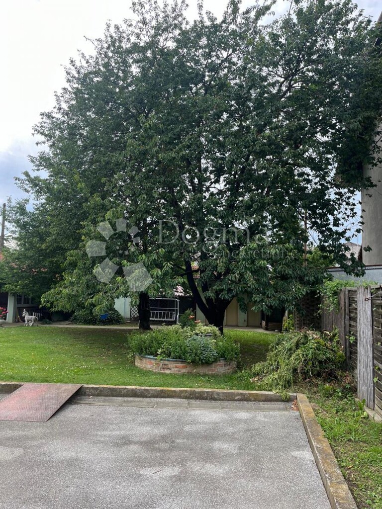 Image 25
