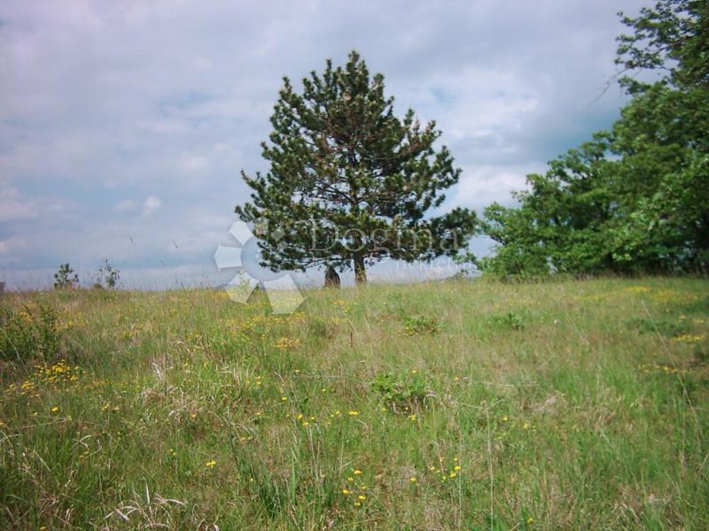 Image 20