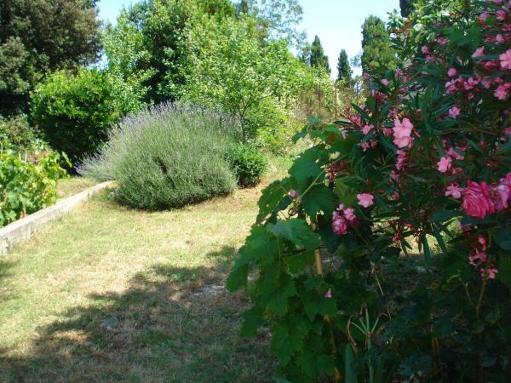 Image 3838866 - 3