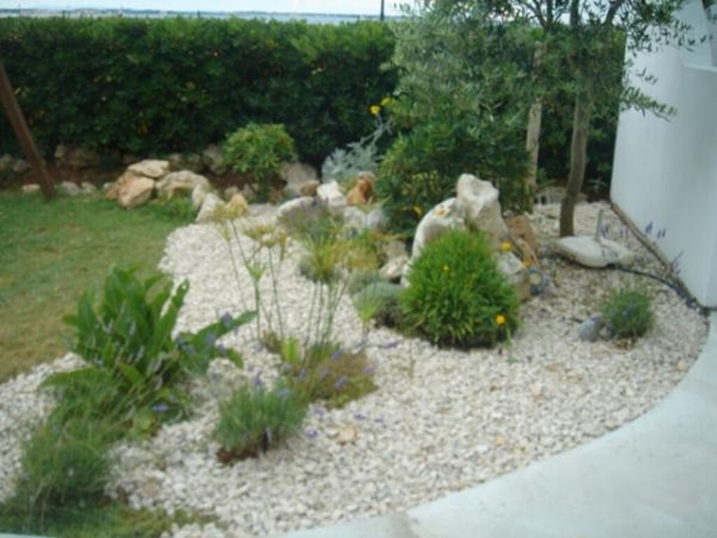 Image 3812981 - 8