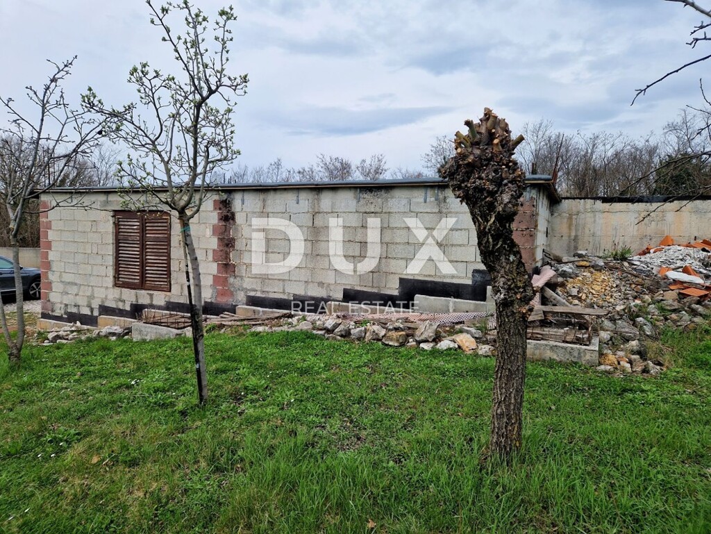 Image 22
