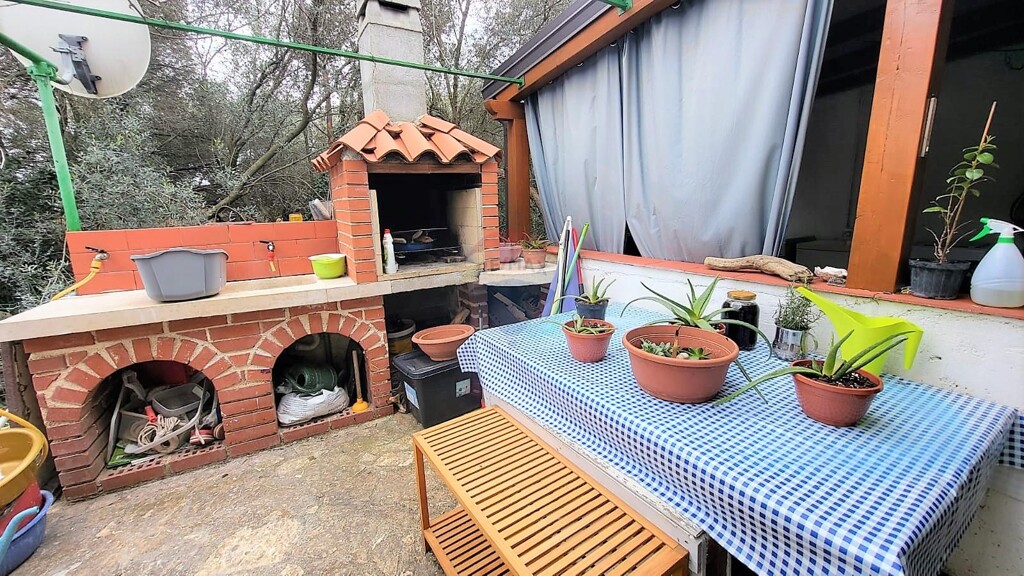 Image 12